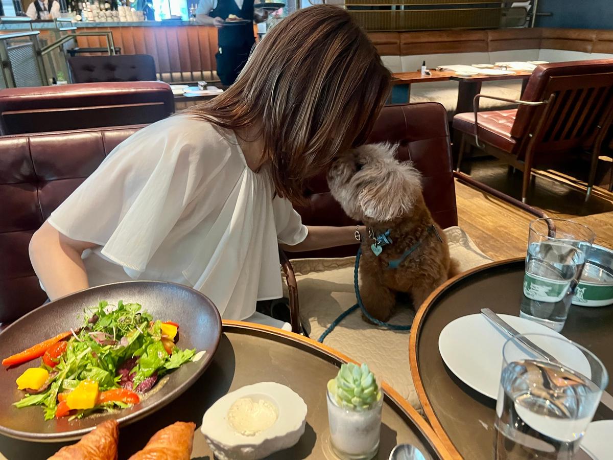 レストランのテーブル席で、女性が茶色の犬に顔を近づけている様子。テーブルにはサラダや飲み物が置かれている。背景には木製の家具や他の客席が見える。