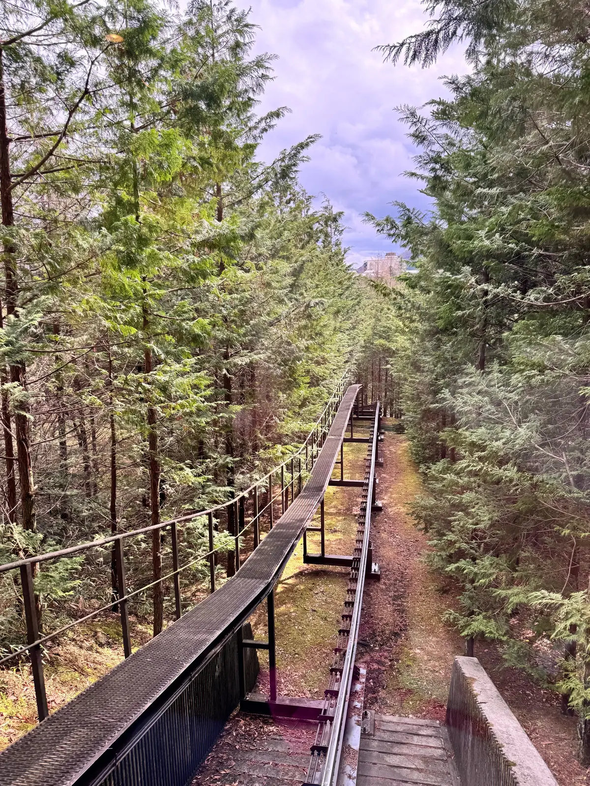 星野リゾート界・鬼怒川 | 桜を楽しむ露の画像_12