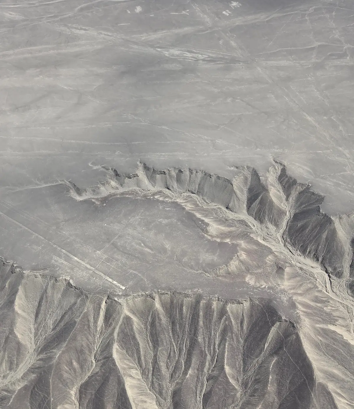 エクラ掲載の「バケットリスト」が現実に！の画像_19