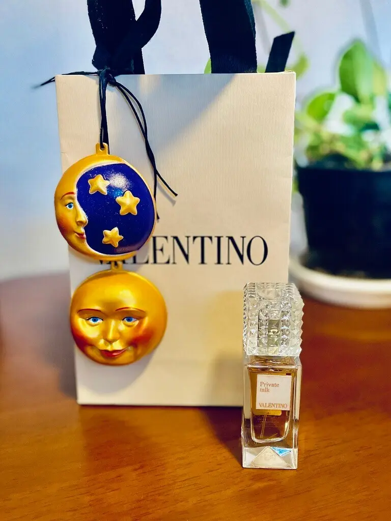 ちょうどクリスマスシーズンで素敵なオーナメントのギフトバック