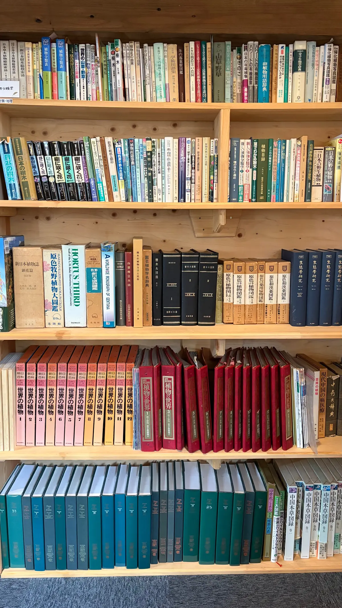 岐阜・郡上で出会った木の温もり「ハーベスの画像_11