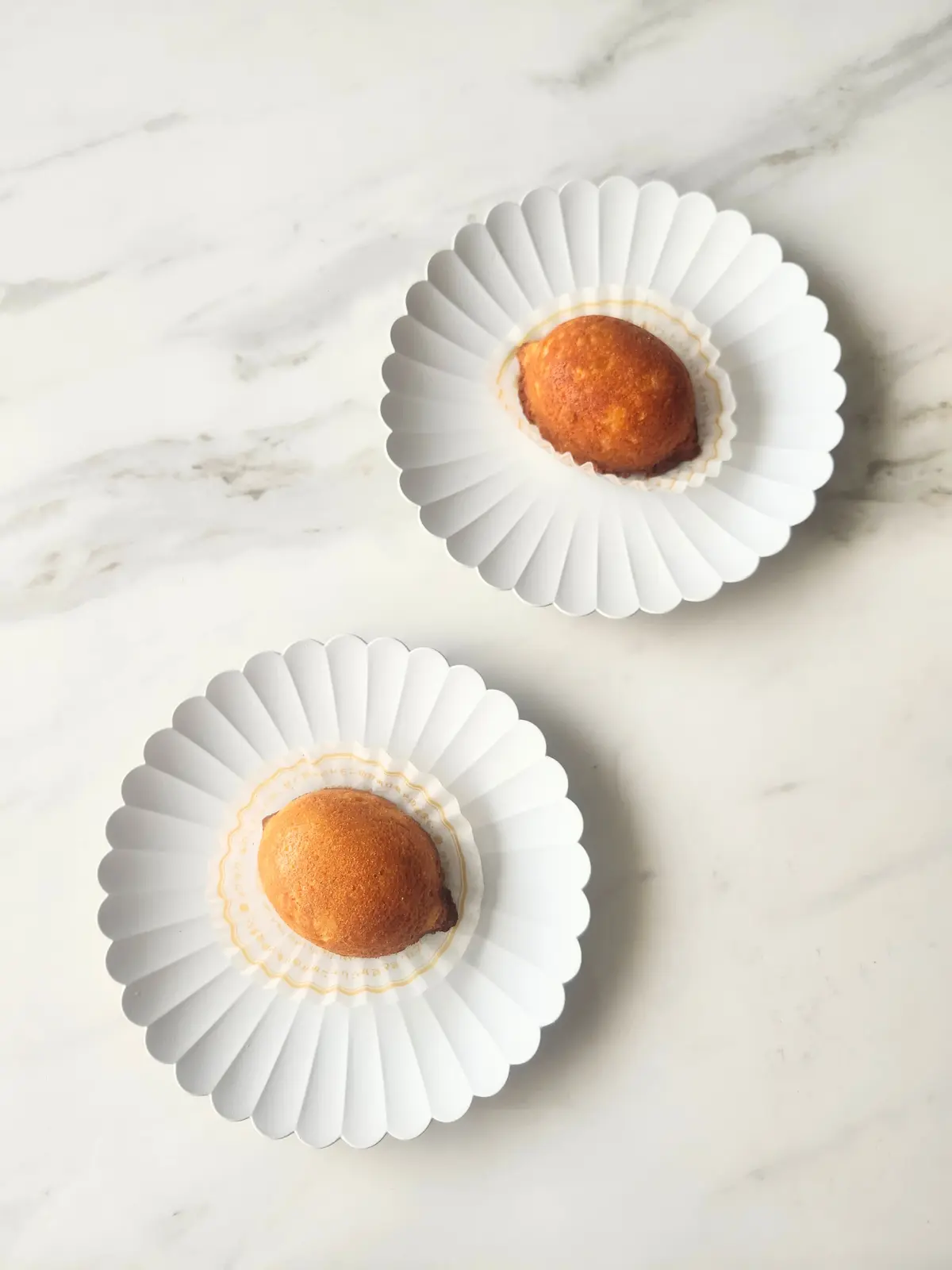 手土産、伊勢志摩サミット、広島サミット、大阪サミット、レモンケーキ、銀座、尾道、瀬戸田レモン、イタリア、トリノ、老舗、GINZA SIX、銀座シックス、Bicerin（ビチェリン）、島ごころ、バーチ・ディ・ダーマ