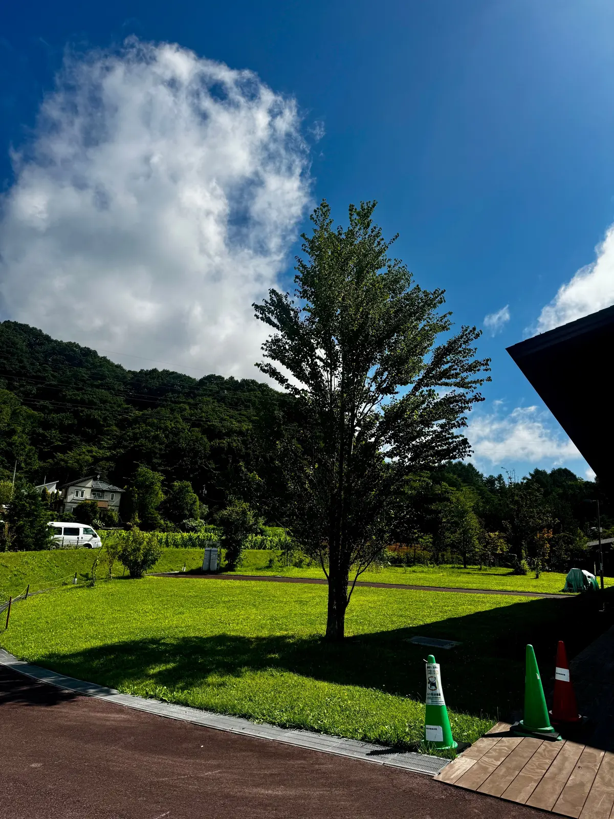 青空の下、緑の芝生に立つ木と、背後の緑豊かな山々。右下には緑色のコーンと標識。