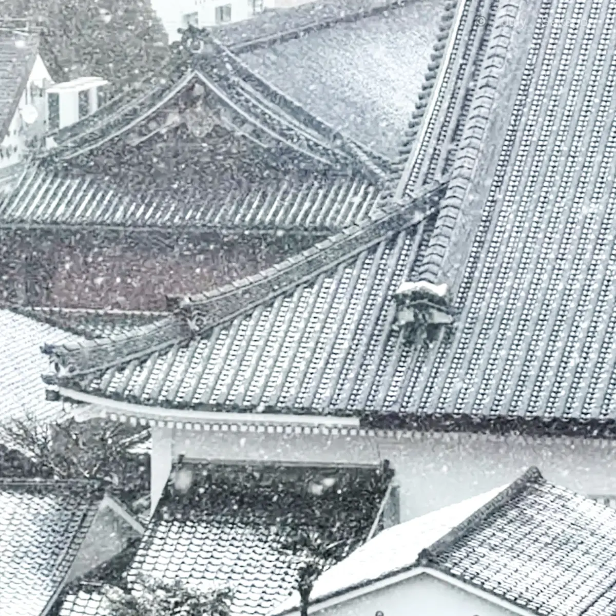 【雪の京都】静寂の絶景 先斗町で見つけたの画像_1