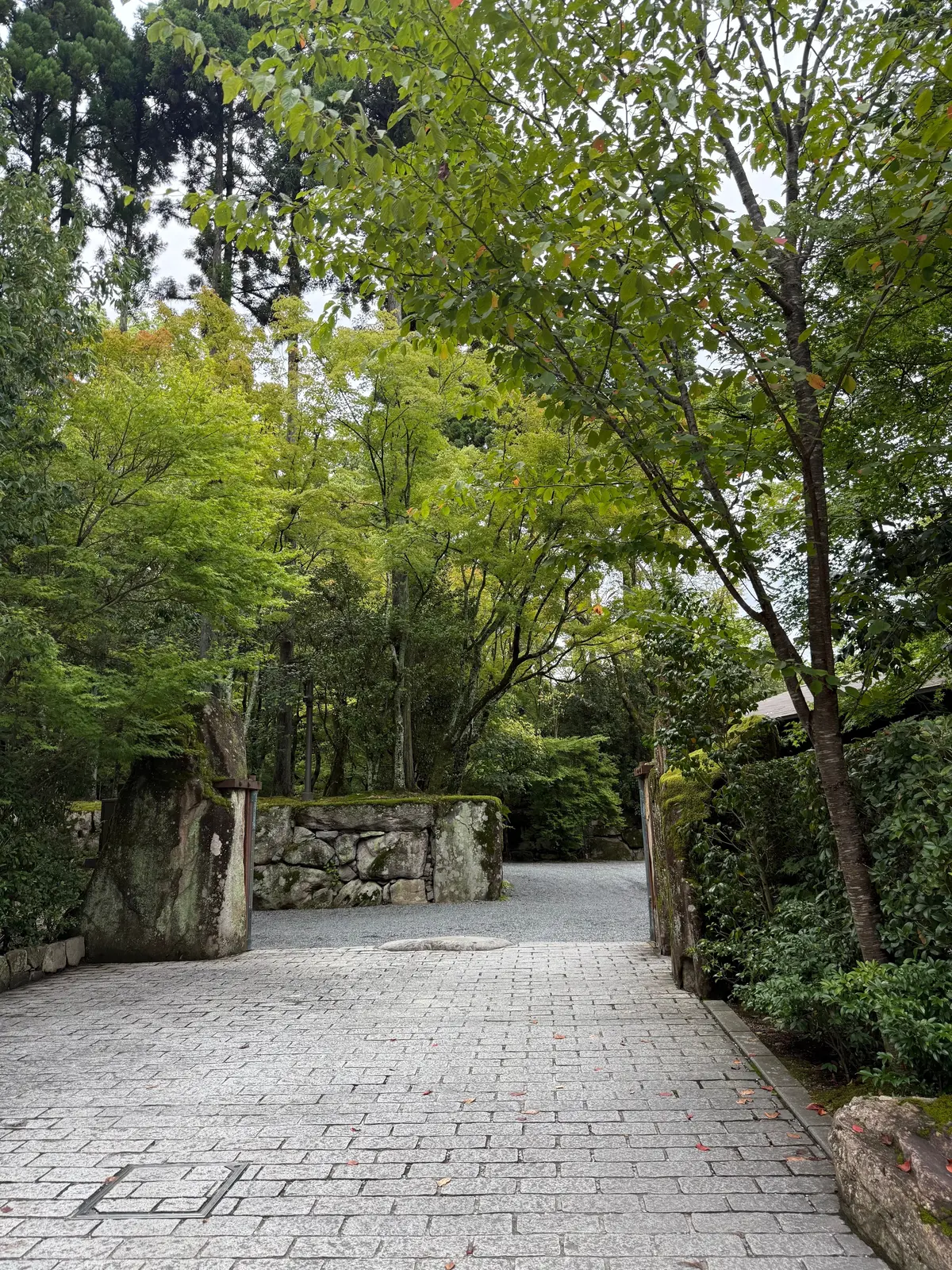 石畳の道が、石垣と緑豊かな木々の間の空間へと続いていく様子。左右に草木が生い茂り、上空には葉の茂った木々が広がる。京都のラグジュアリーリゾートホテル、アマン京都。AMAN京都