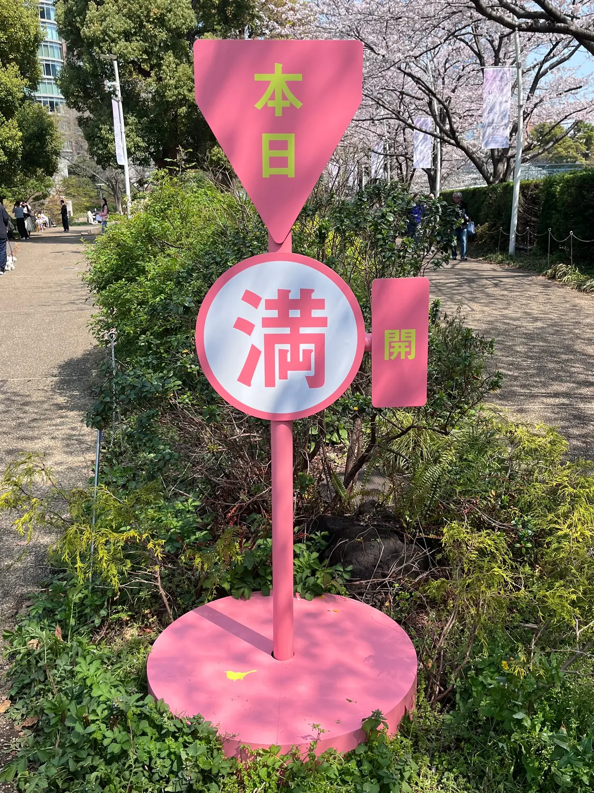 念願のお花見🌸🌸🌸の画像_3