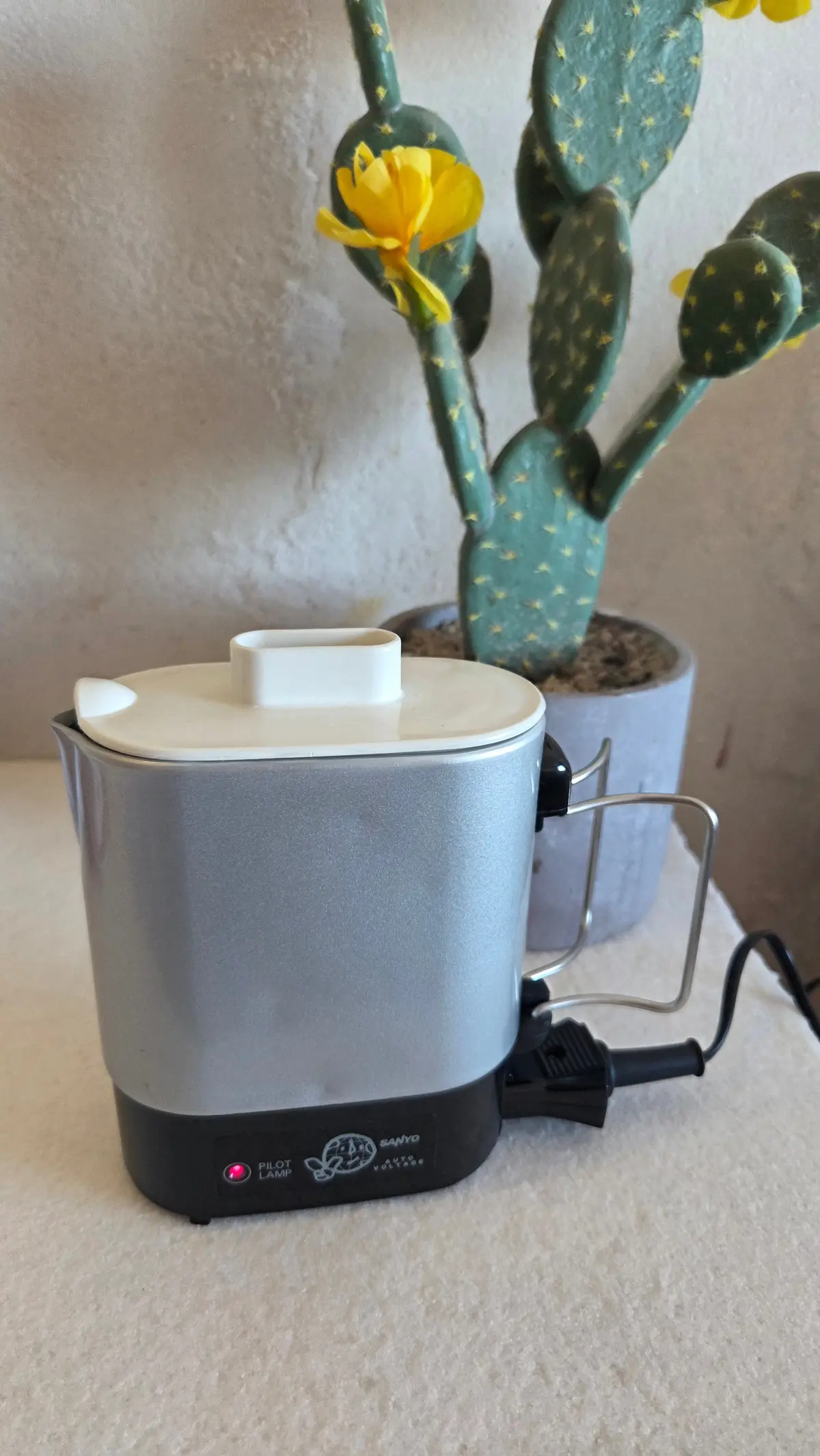 初日の出はウユニ塩湖での画像_8