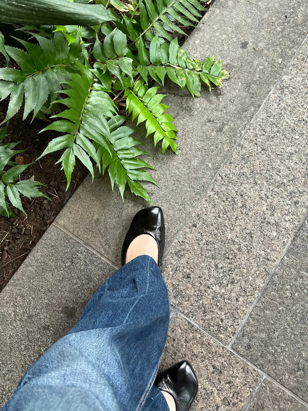 フレンチカジュアル🌸少しずつアップデートの画像_4