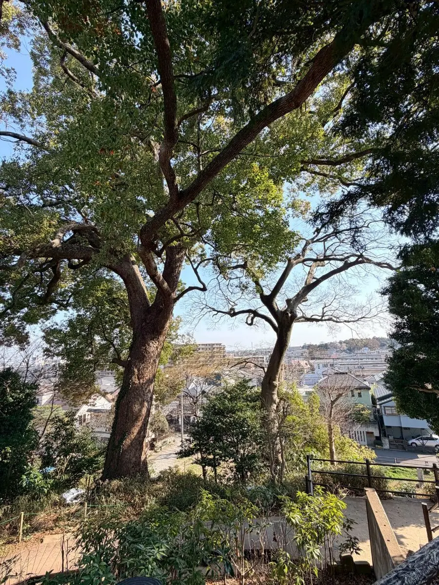 富士見櫓からの景色