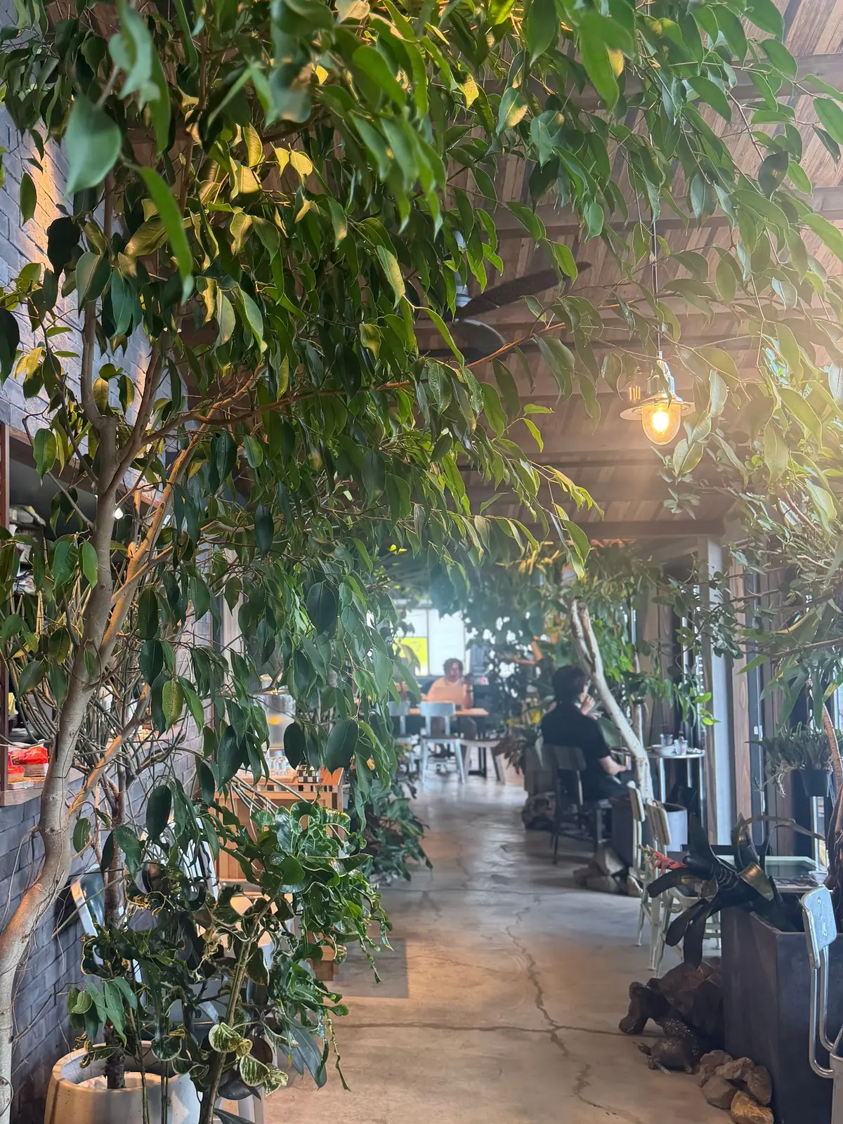 緑豊かな植物に囲まれた、木造の屋根付きカフェの内部。テーブル席が並び、数人の客が座っている。手前に大きな観葉植物が置かれ、光が差し込んでいる。