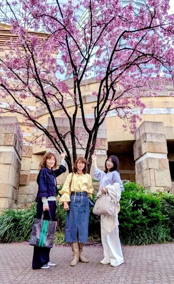 【東京ミッドタウン】から【毛利庭園】へおの画像_13