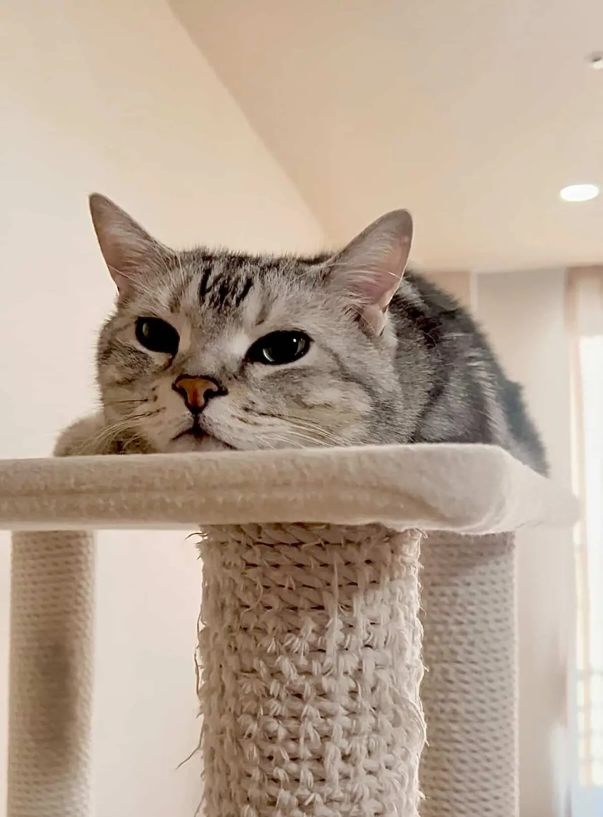 エクラプレミアム3月号カタログ撮影。“Mの画像_7