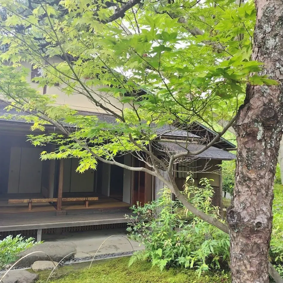 日本庭園　有楽苑　元庵