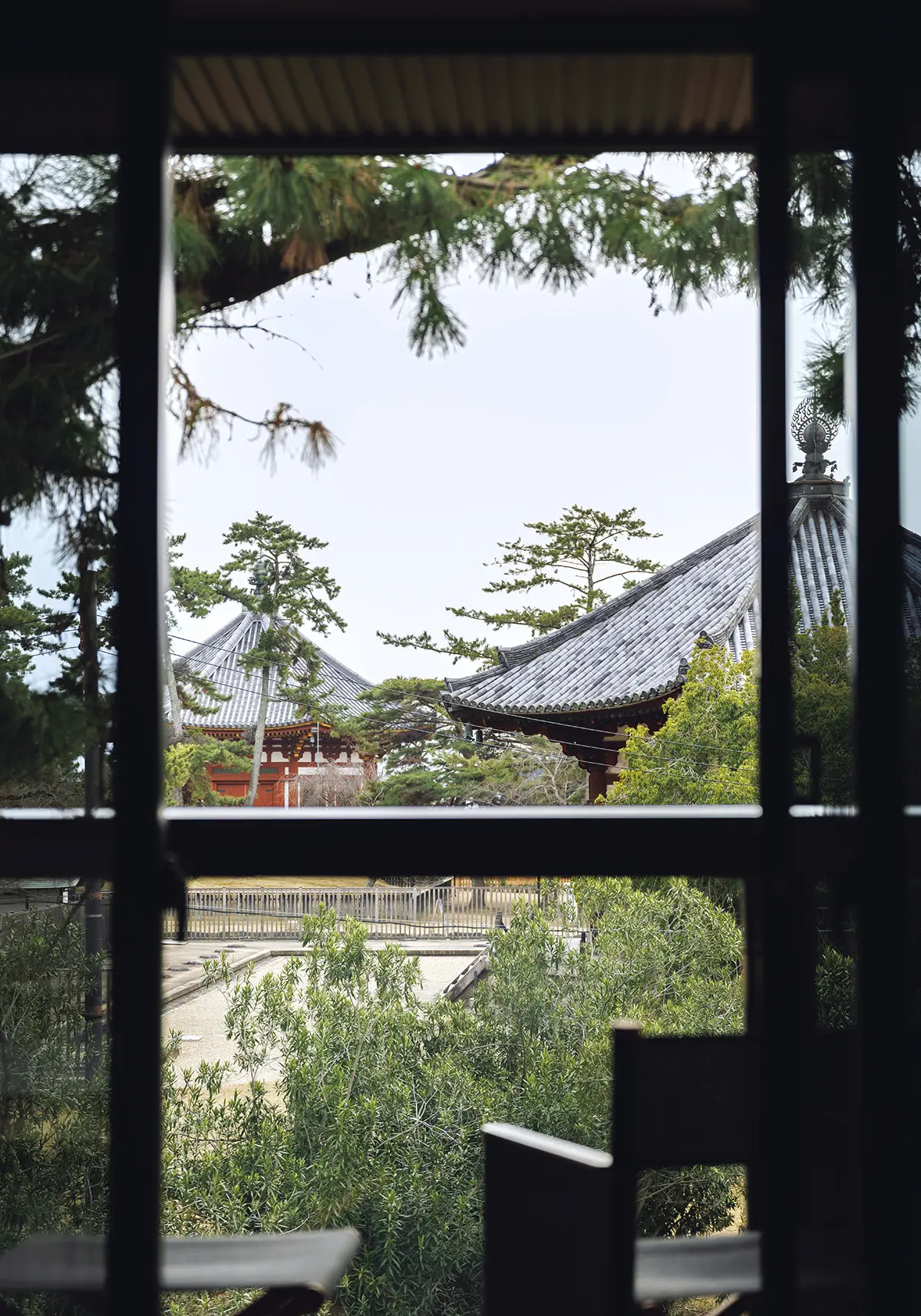 スイートルームから望む国宝、北円堂