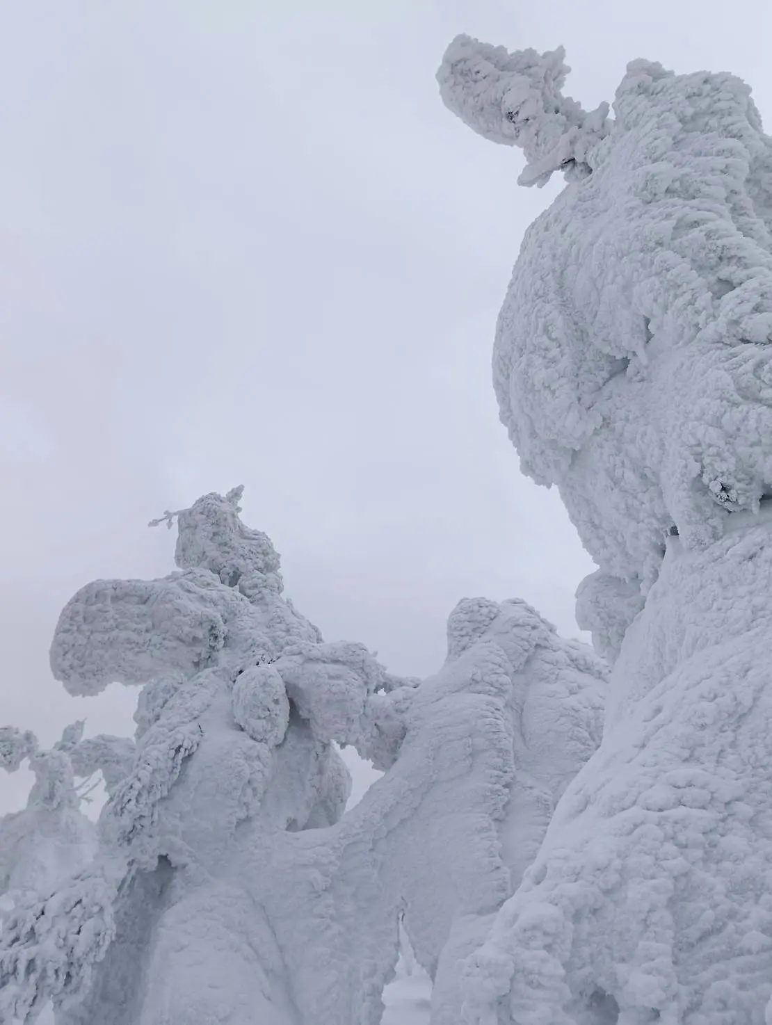 森吉山の樹氷平⑦