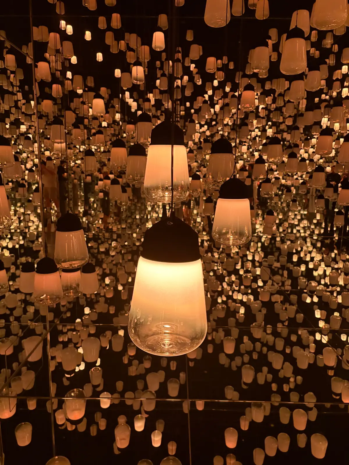 チームラボバイオヴォルテックス京都