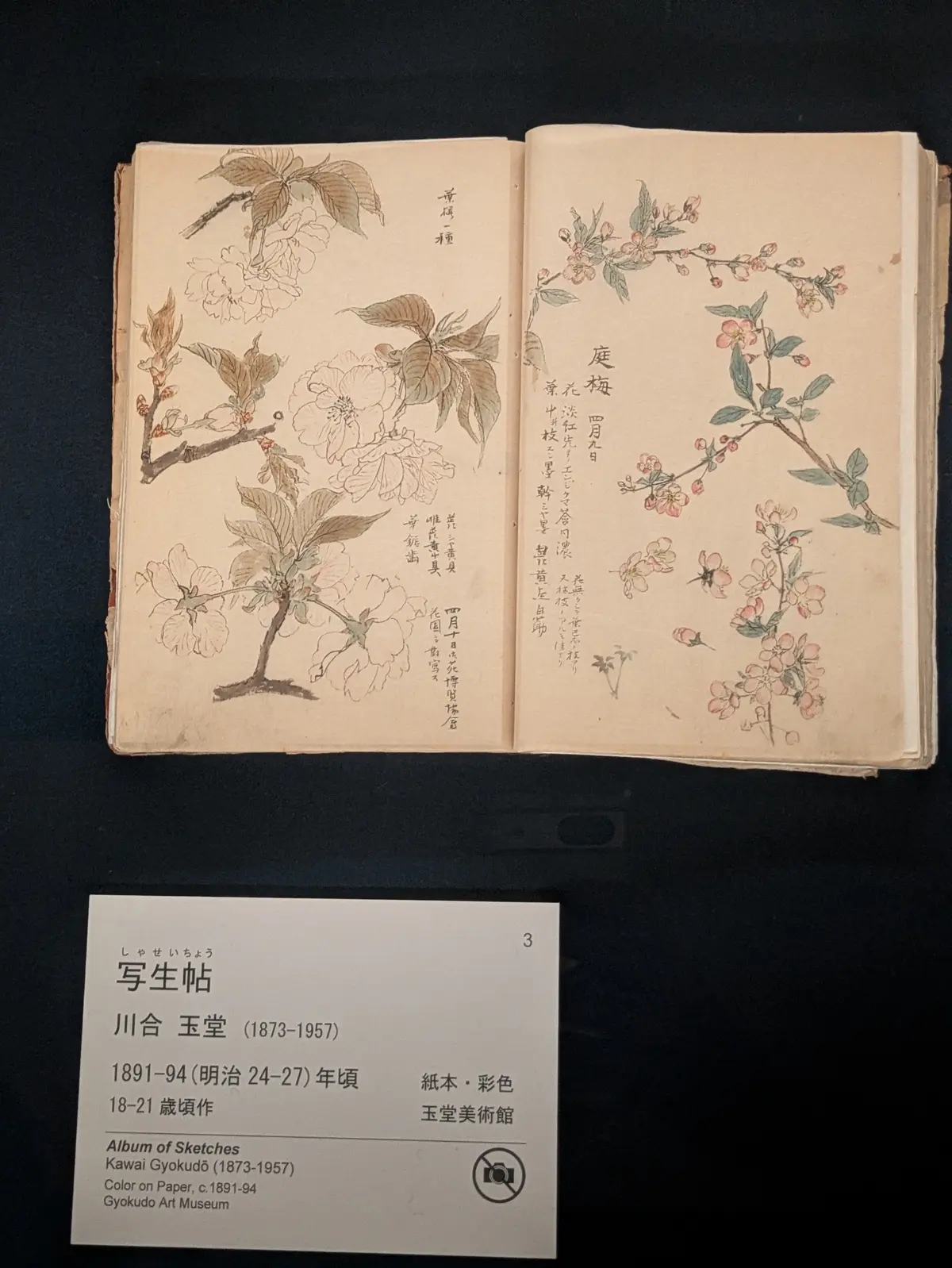 「写生帖」1891-94年頃　玉堂美術館蔵