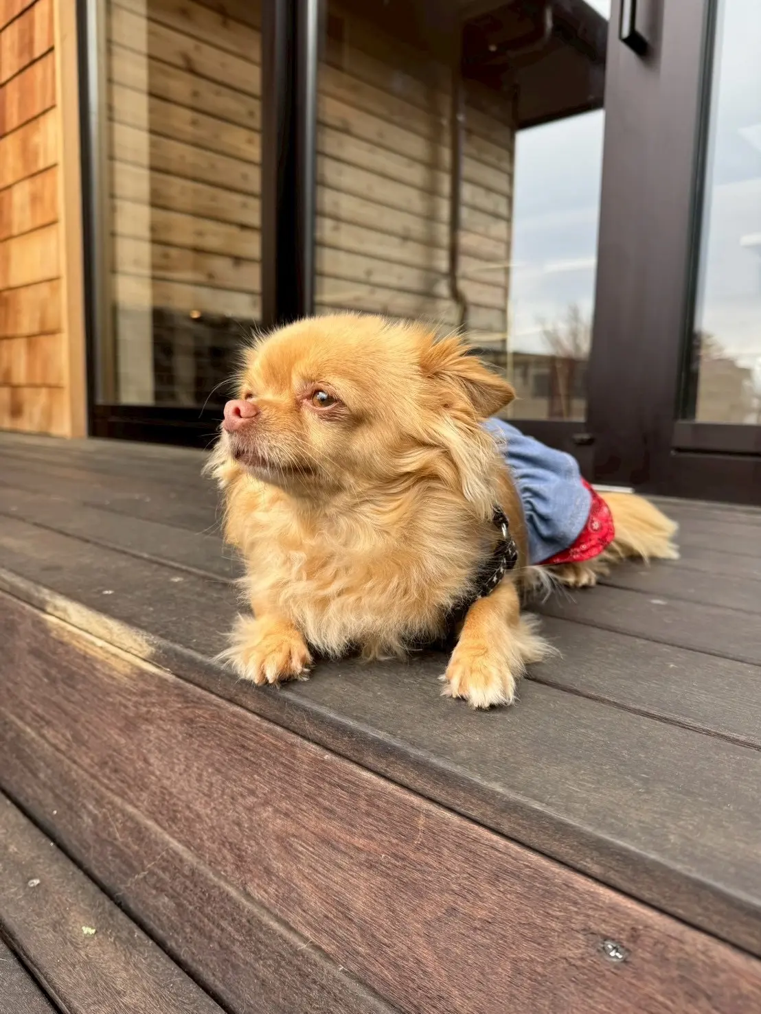 GUジーンズで春のお出かけ。伊豆の絶景スの画像_10