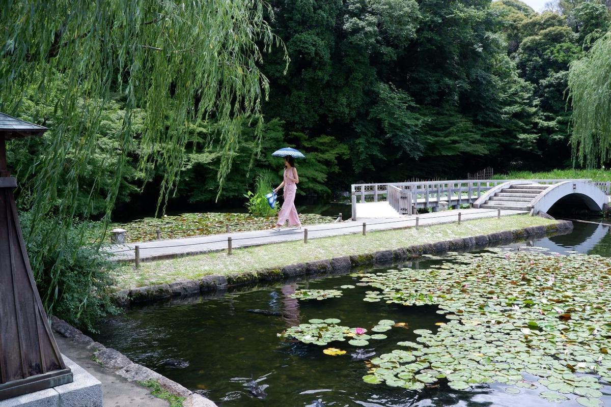 水没植物で覆われた池のほとりで、女性が傘を手に歩く。白いアーチ橋と木製の歩道が池を横切っている。柳の木が池の左側に生えている。