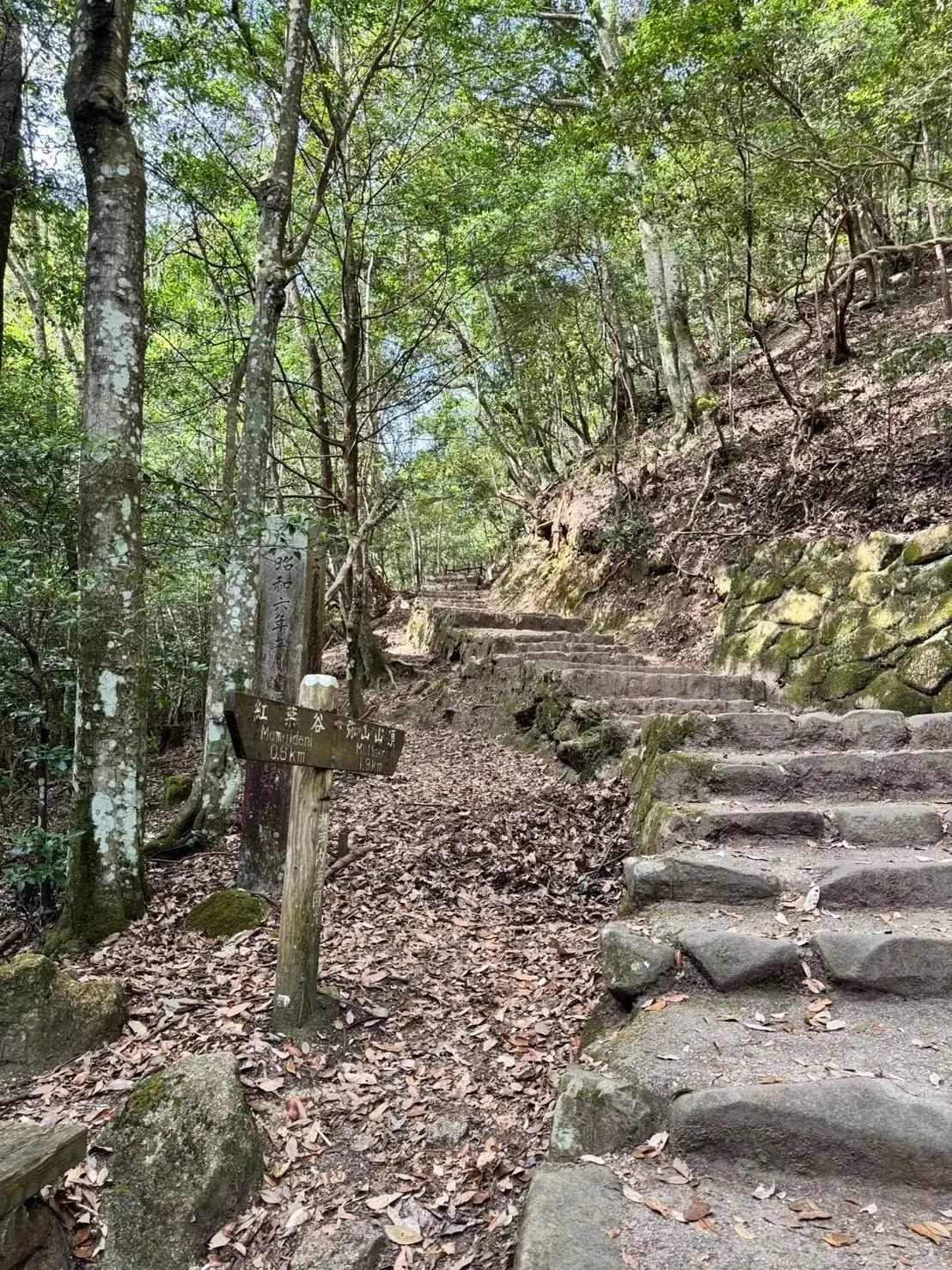 木々に囲まれた石段の登山道。左には案内板があり、右には落ち葉が積もった地面が広がる。遠くには緑豊かな山並みが続く。