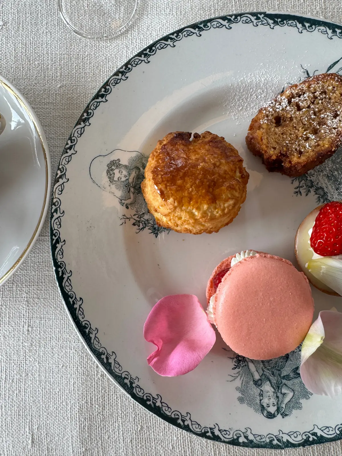 にゃんこに会いに、そして（ついでに）アフの画像_6