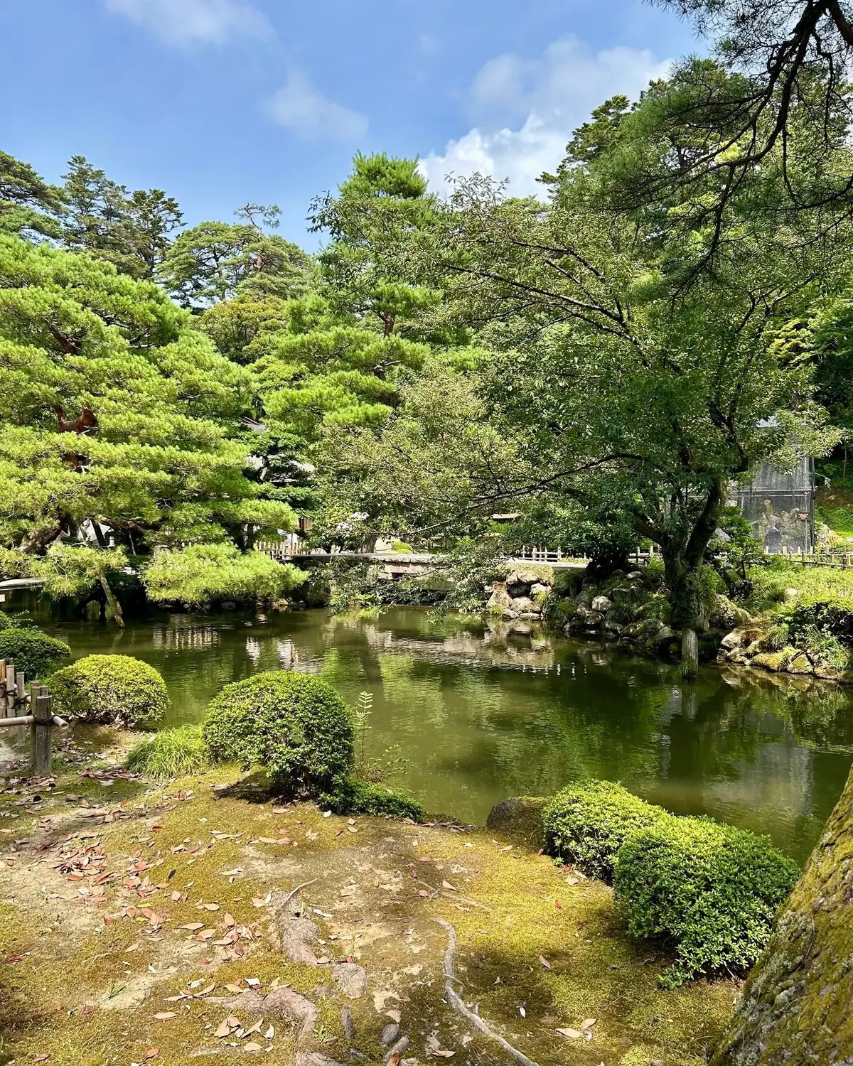 【金沢への夏旅①】旅の始まりは赤と黄色のの画像_4