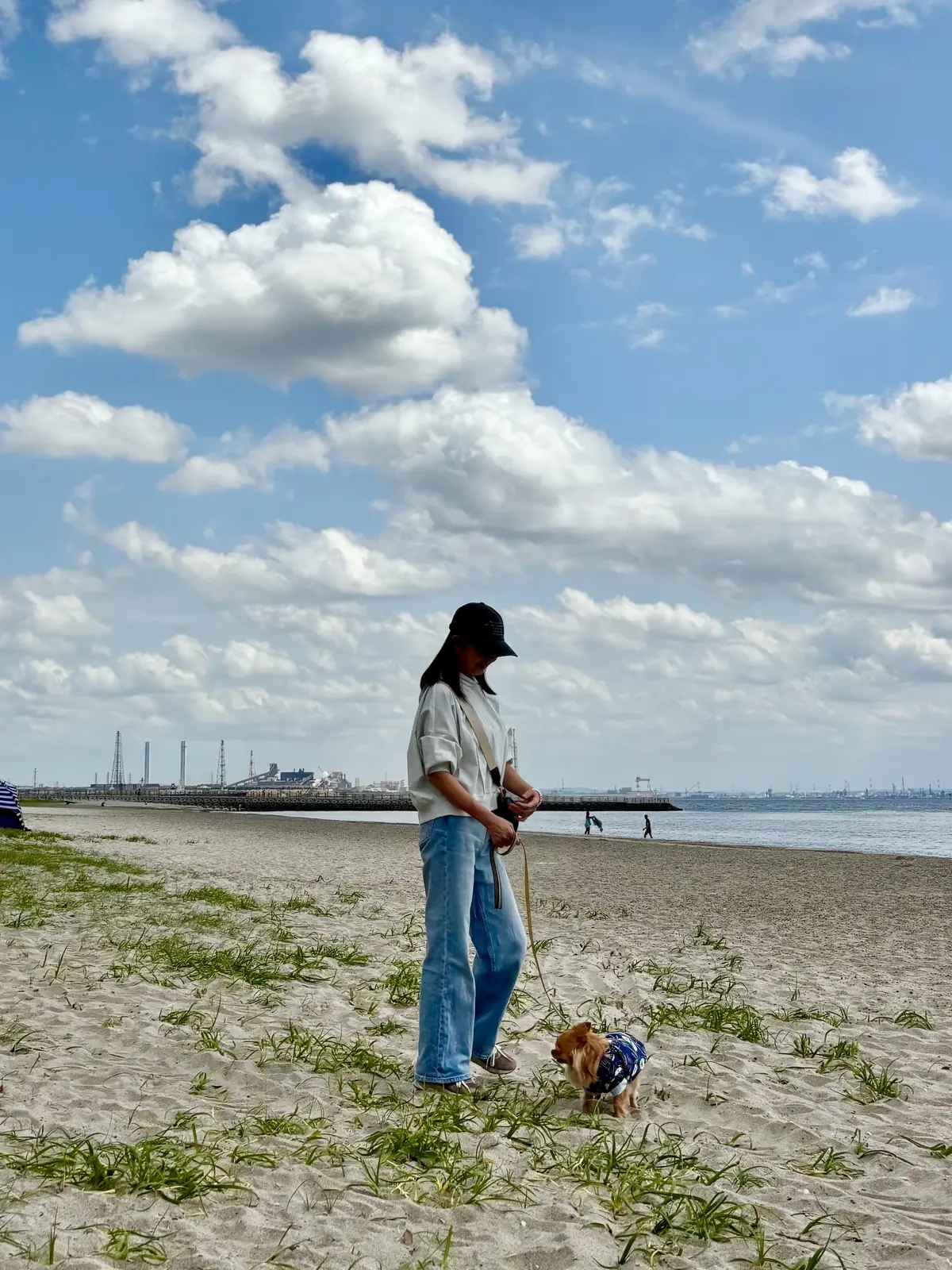 千葉へわんことおでかけ。ピクニックも楽しの画像_11