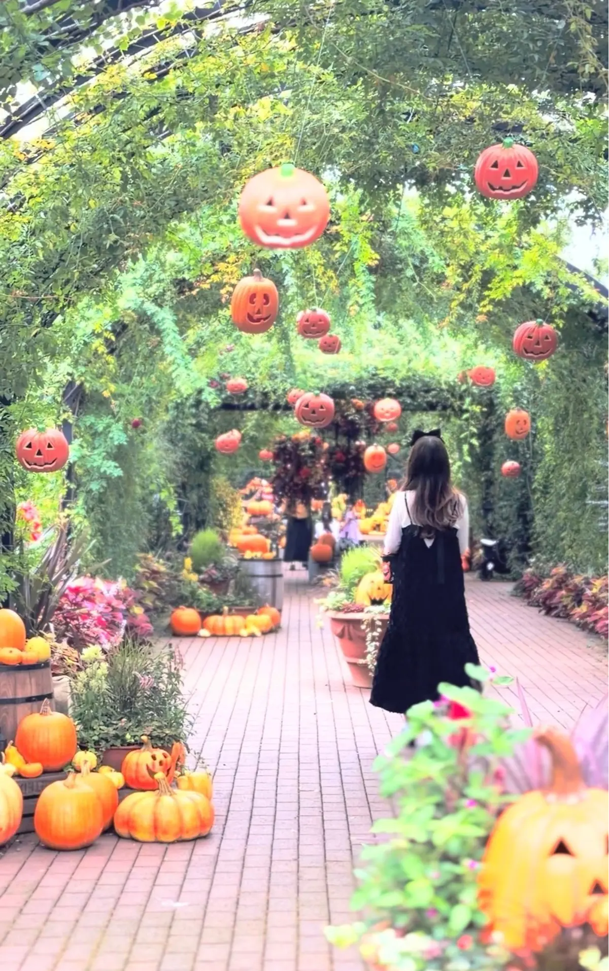 ハロウィーン装飾が施された通路。両脇にはカボチャや花が並び、アーチ状の緑の植物の上には笑顔のジャック・オー・ランタンが吊るされている。黒いワンピースを着た女性が通路を歩いている。