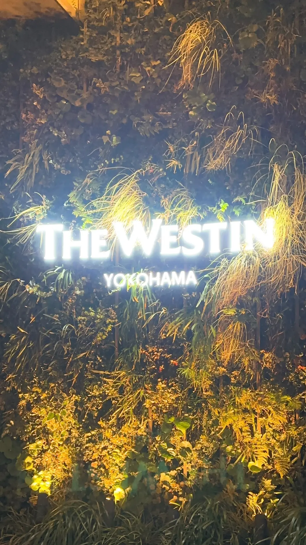 横浜みなとみらいでカジュアルディナーの画像_1