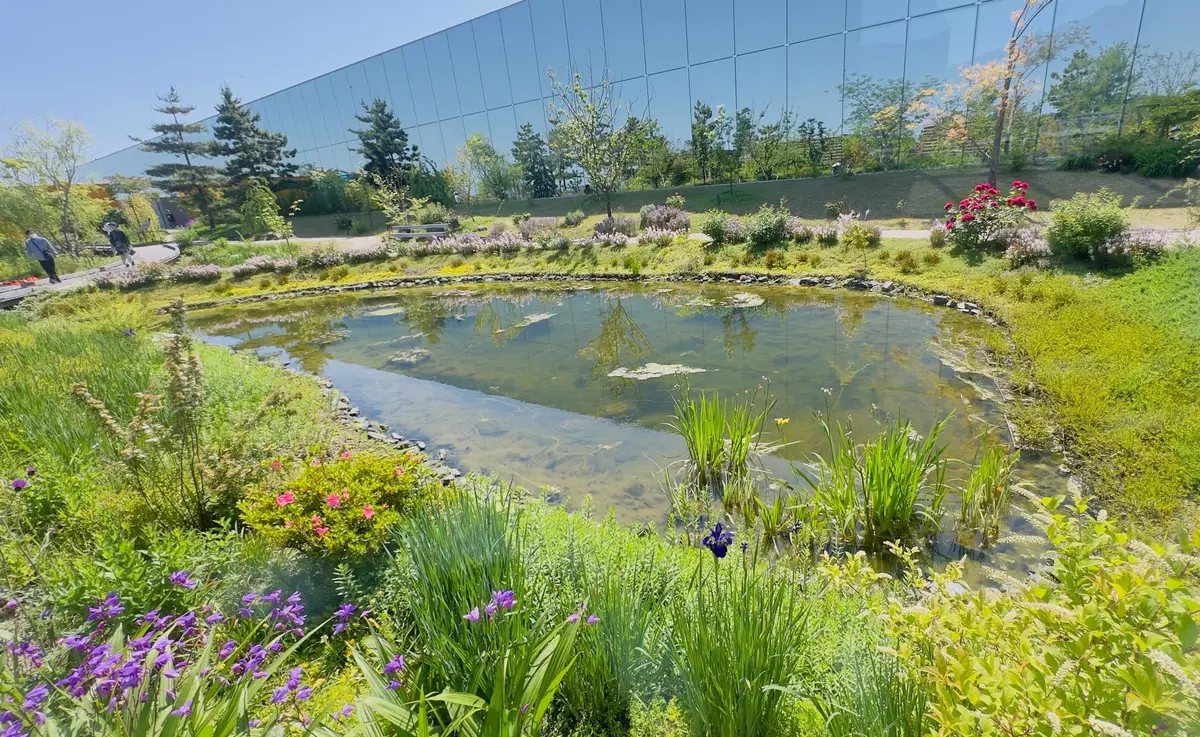 水辺の庭園で、池に水草や水生植物が生い茂り、紫色の花が周囲に咲いている。背景にはガラス張りの建物と緑豊かな木々が広がる。