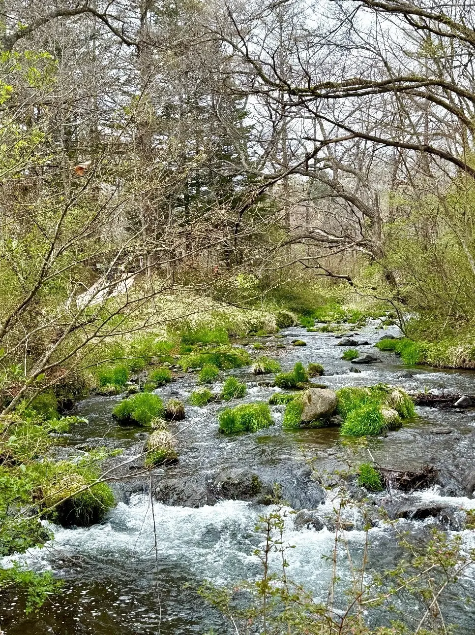 軽井沢　ハレルニテラス
