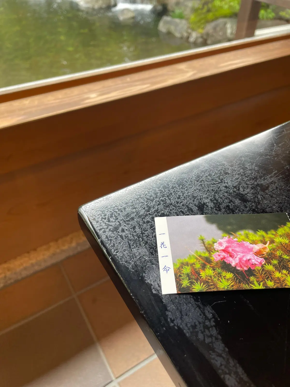 黒い石のテーブルに置かれた、緑色の植物の写真が印刷された白い本の表紙。表紙には縦書きで日本語の文字が書かれている。背景には、窓から見える水辺の風景。