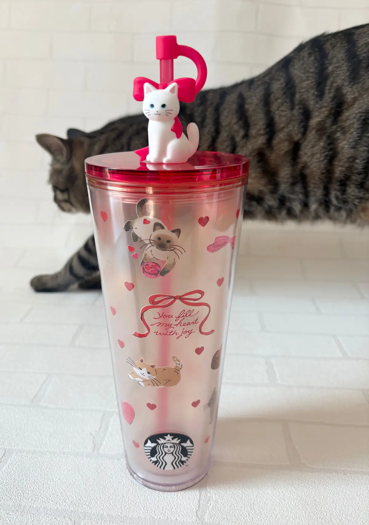 スターバックス　タンブラー