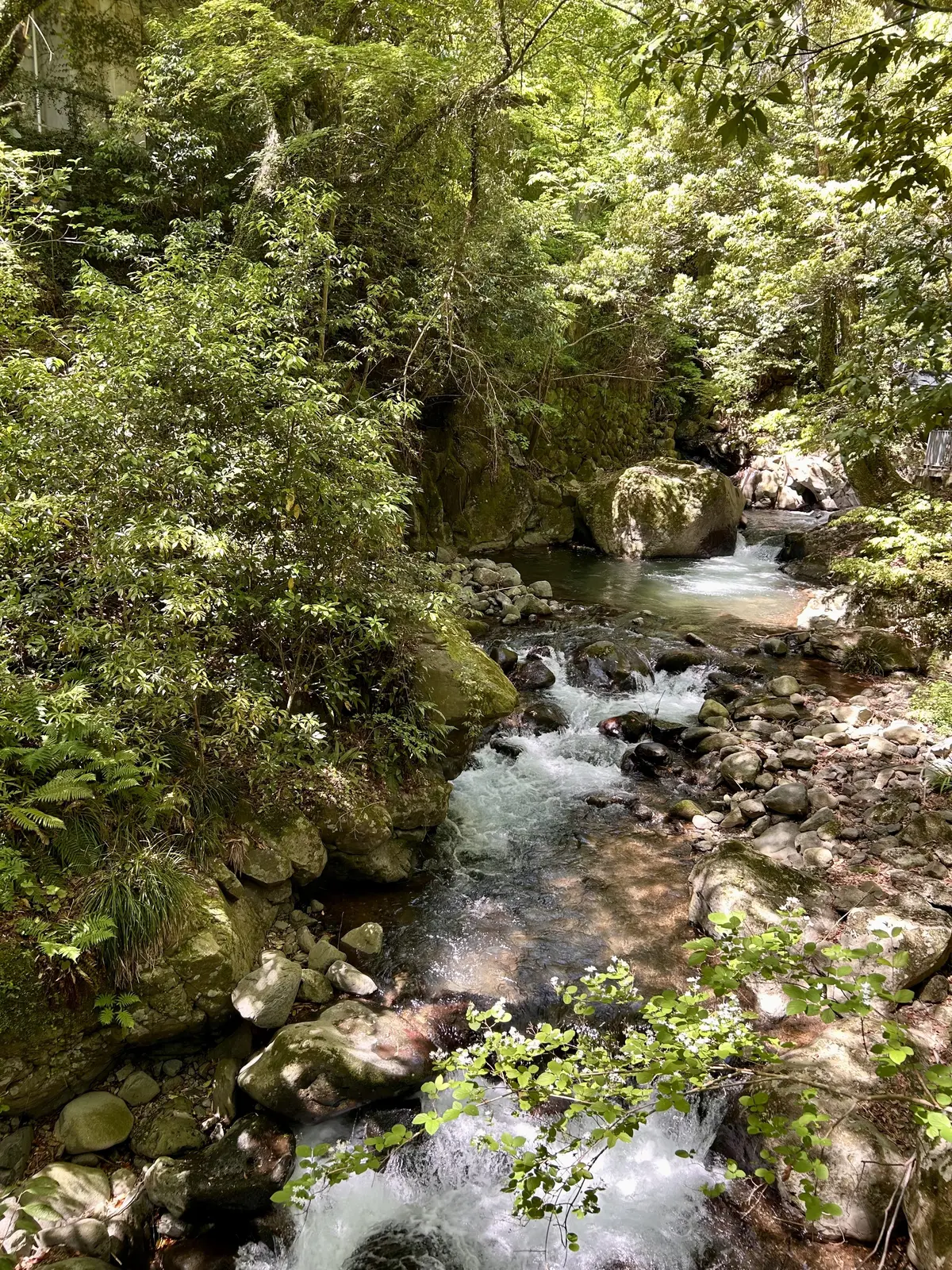 自然を堪能！湯河原惣湯でマイナスイオンチの画像_2
