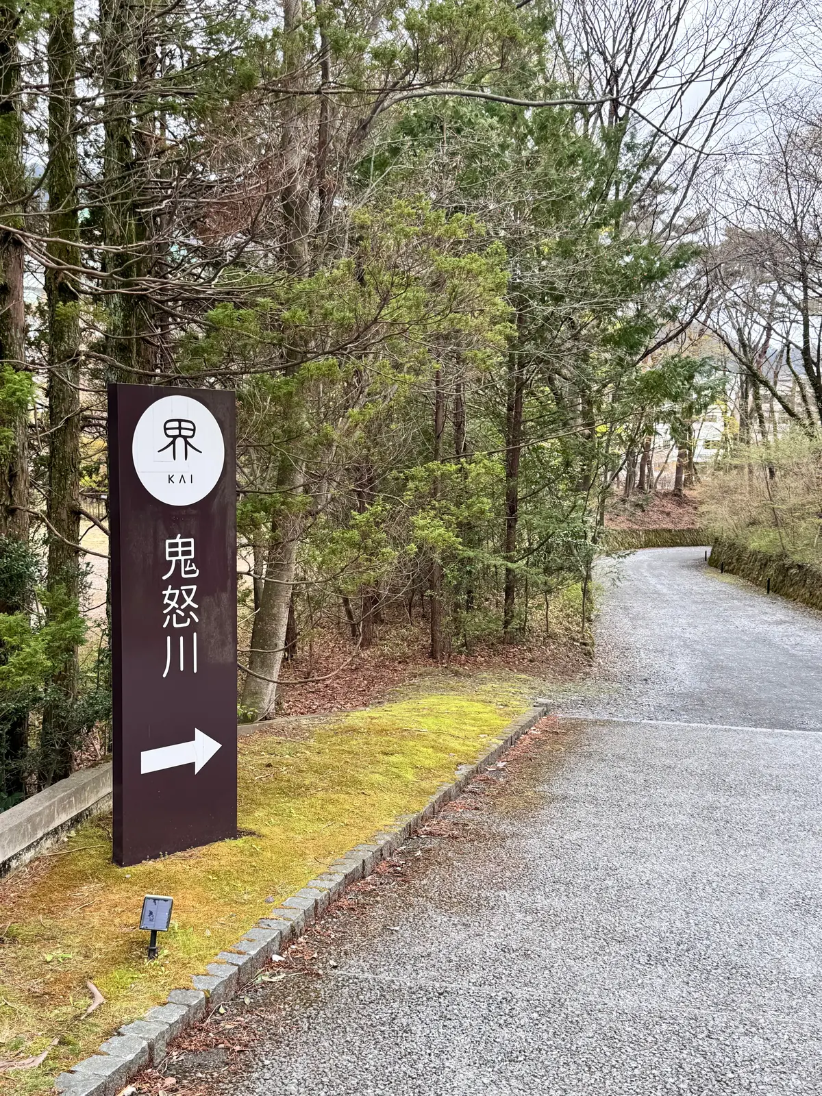 星野リゾート界・鬼怒川 | 桜を楽しむ露の画像_8