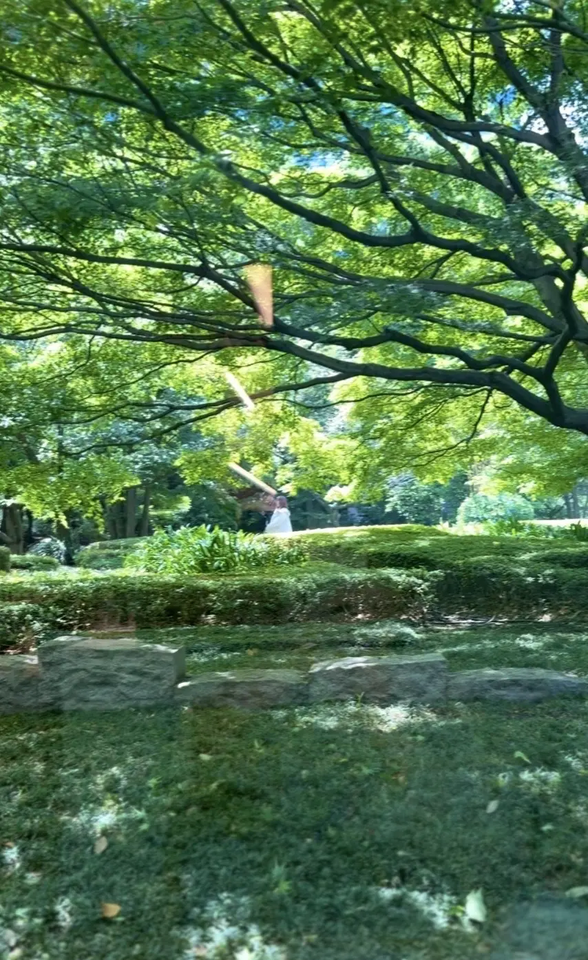 【六本木の隠れ家カフェ】新緑のテラスで深の画像_7