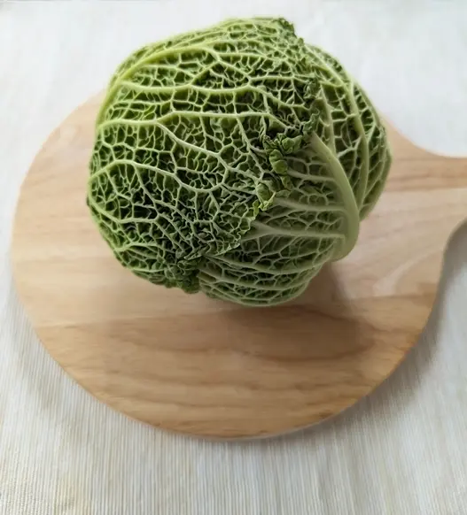 北海道真狩産のゆり根は生産量も品質も日本の画像_11