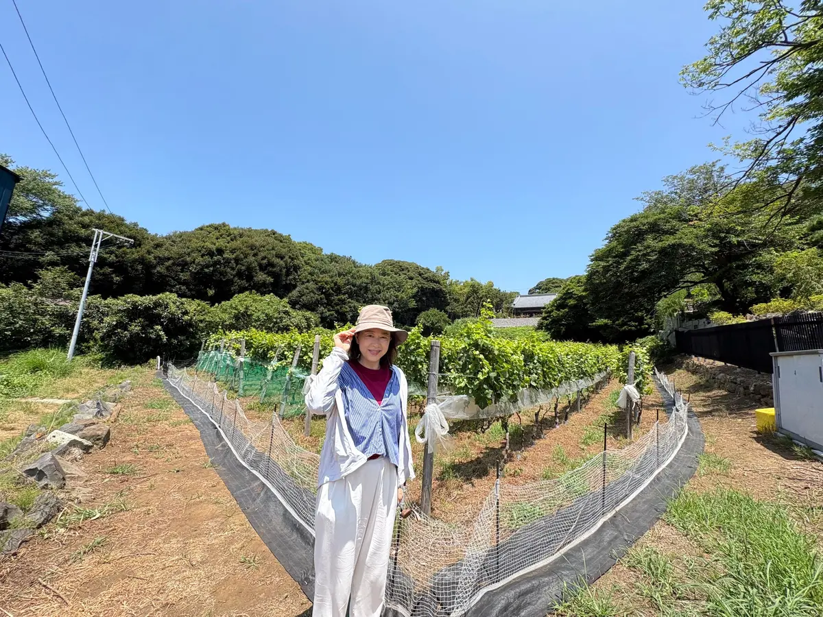 七里ヶ浜ヴィンヤードは、住宅街の中に調和していました。とにかく暑かったので、日焼け対策に必死でおしゃれは二の次になってしまいます🥵💦