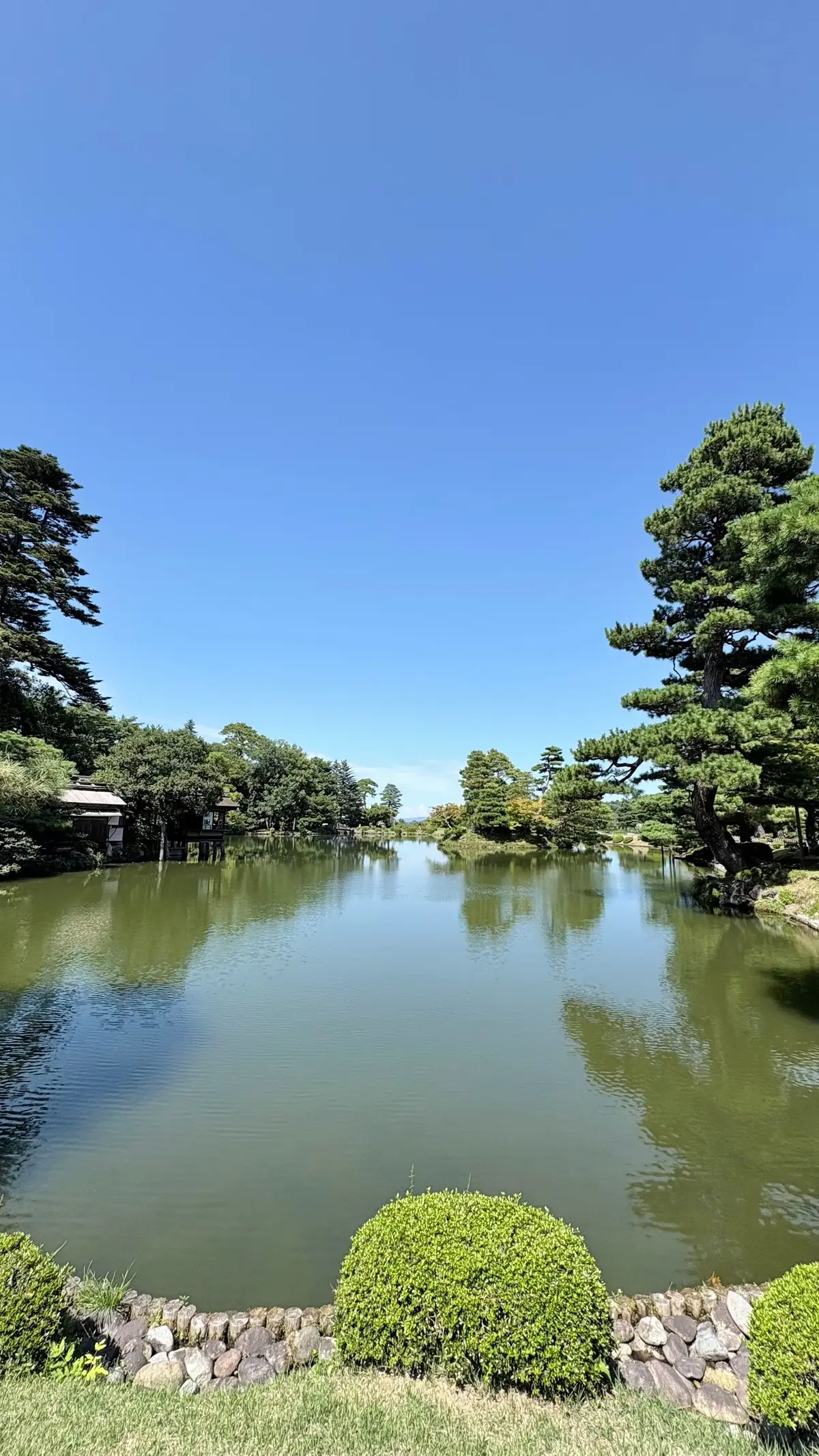 緑色の池のほとりに、手入れされた常緑樹が茂る日本庭園。青空の下、水面に木々の緑が映り込んでいる。