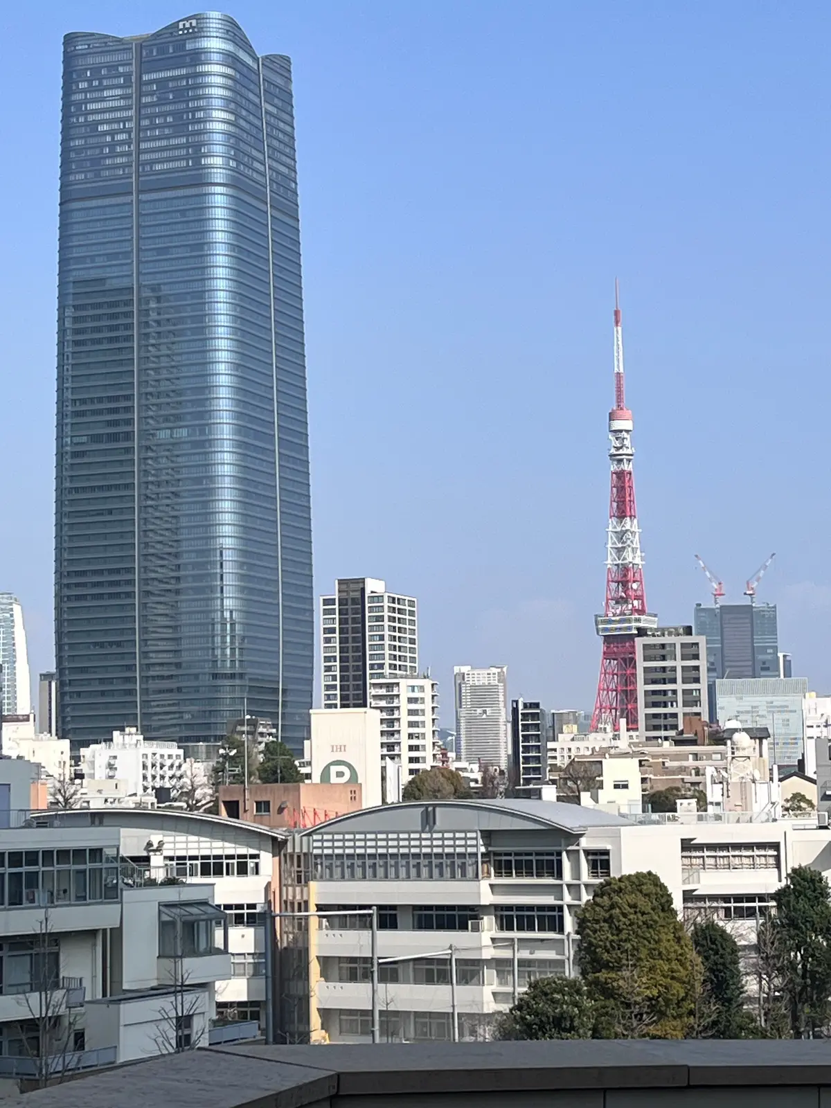念願のお花見🌸🌸🌸の画像_15