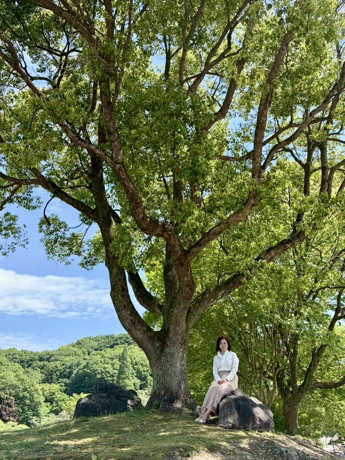 薔薇の楽園。ぎふワールド・ローズガーデンの画像_8