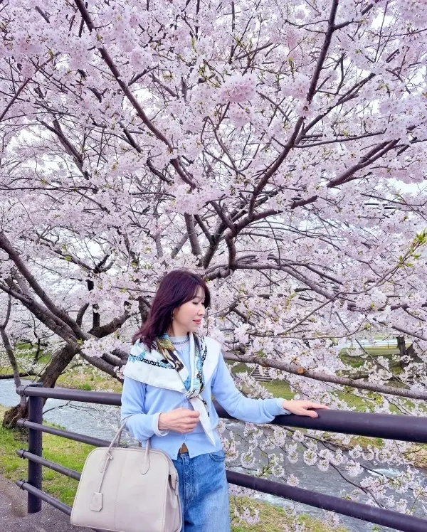 【富山・春旅】桜の絶景！｢春の四重奏｣＆の画像_7