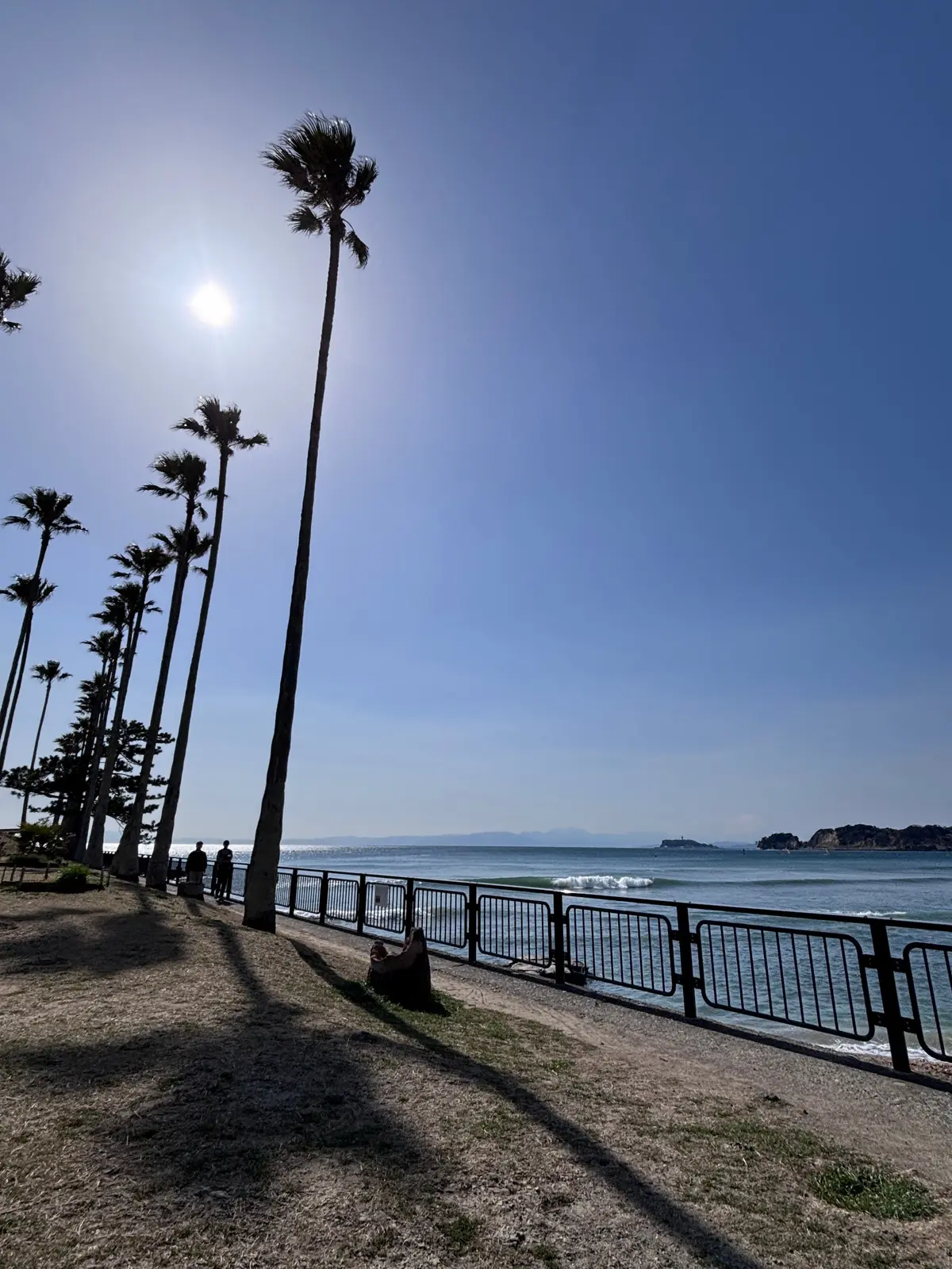 初春の鎌倉・材木座の海散歩とランチの画像_3