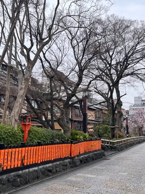 京都2日目は早足で・・・朝の建仁寺がとての画像_5