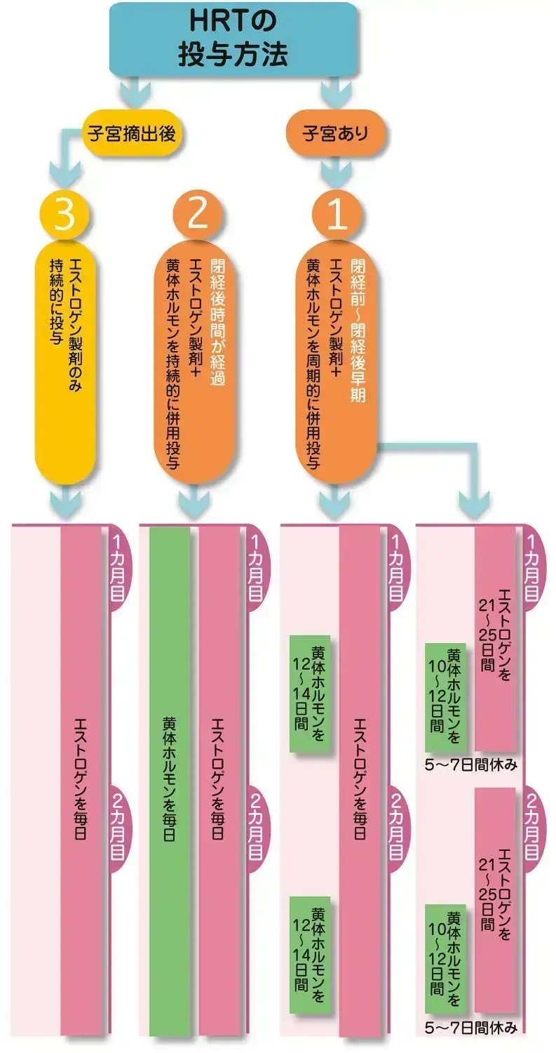 閉経前～閉経後早期はエストロゲン製剤と黄体ホルモンを周期的に使います
