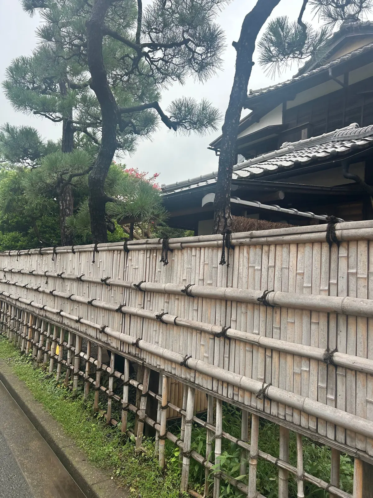 松原庵の竹製の長いたて塀と、塀の向こうに建つ屋根の装飾が美しい日本家屋。塀の前に緑の草が生い茂り、塀のそばにはアスファルトの道がある。