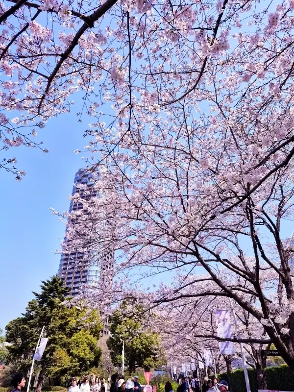 【東京ミッドタウン】から【毛利庭園】へおの画像_1