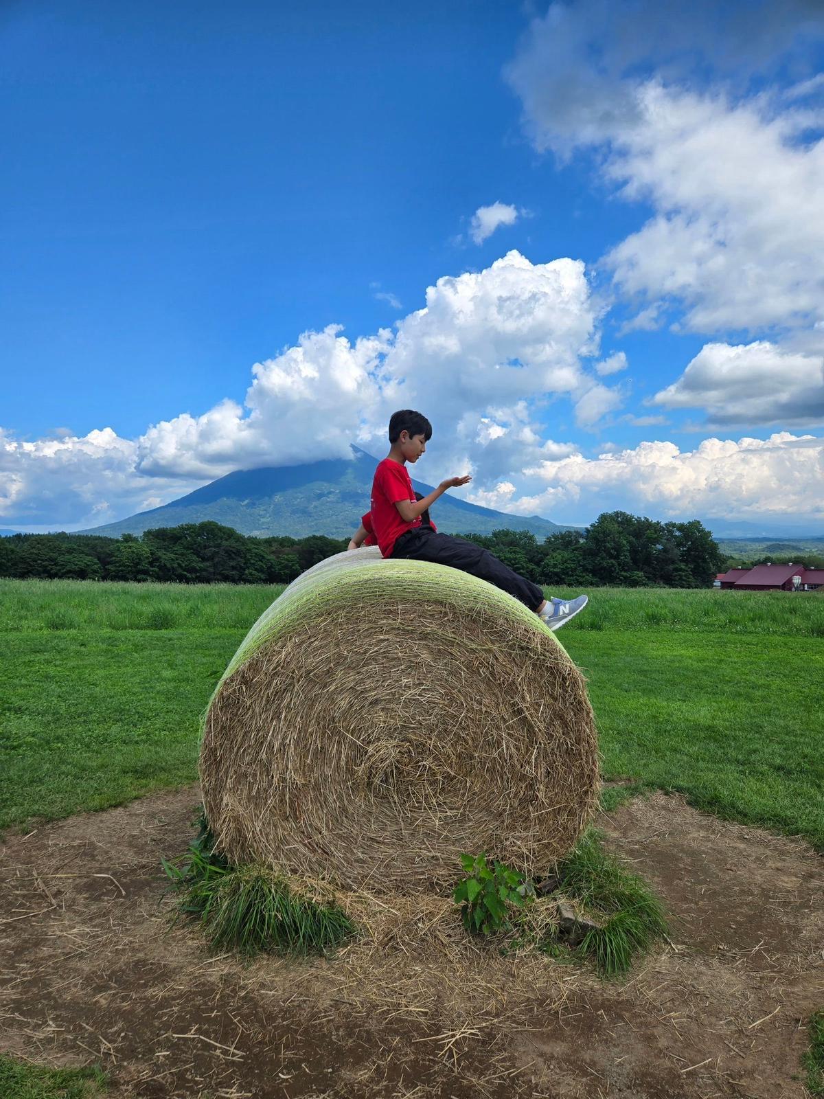 緑の草むらに置かれた麦わら丸太に、赤いTシャツを着た少年が座り、片手を広げている。背景には緑豊かな丘陵地帯と、山が連なる風景が広がり、青空には白い雲が浮かんでいる。