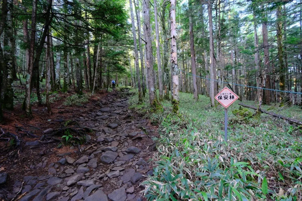 森林地帯の小道。地面は大小の石で覆われ、木々は間伐され、明るい日差しが差し込んでいる。右側には「保安林」と書かれた標識が立っている。遠くで歩行者が数人見られる。