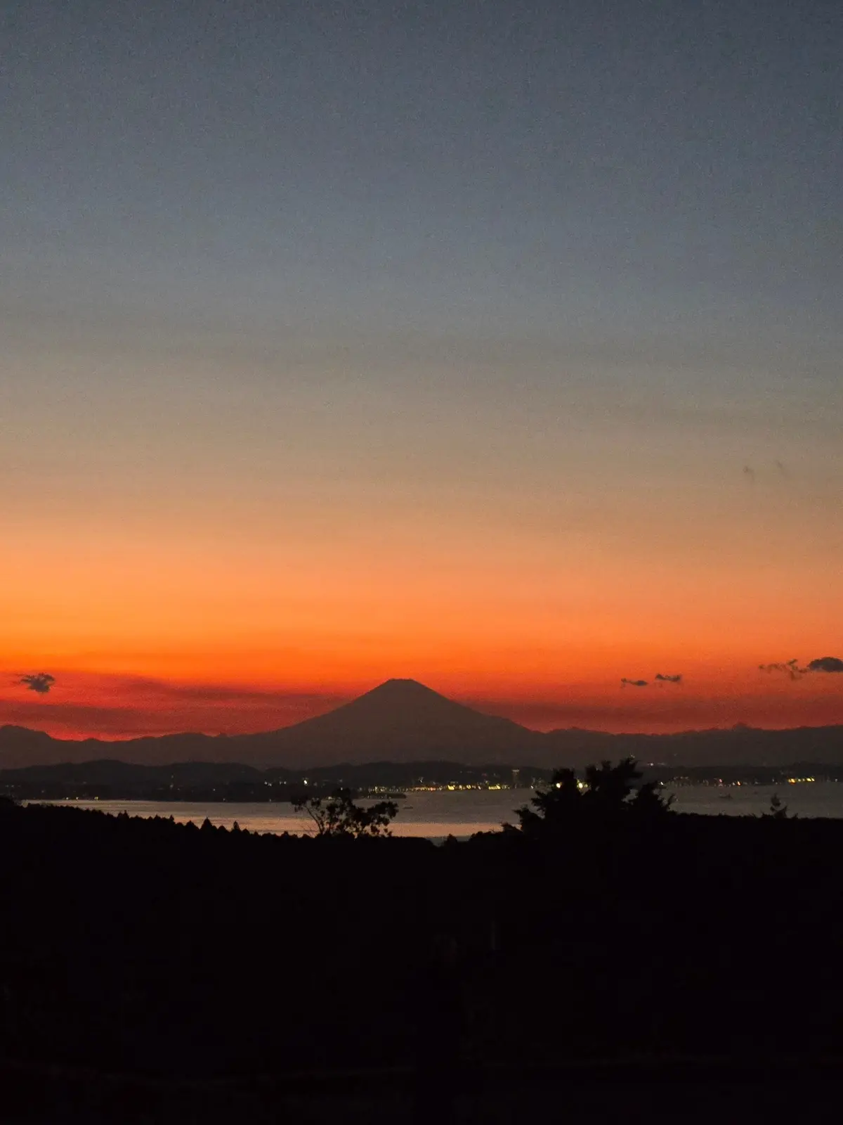 今の時期ならでは！菜の花とイルミネーショの画像_19